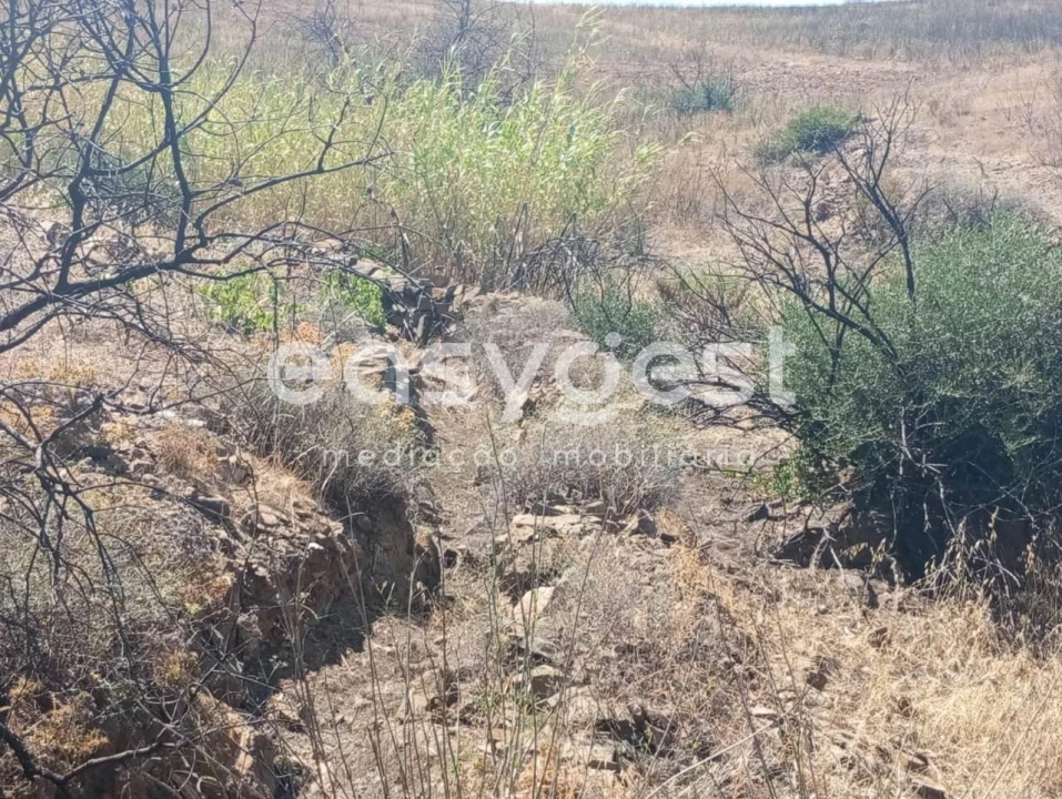 Terreno Agricola ou Rústico para Venda em Conceição e Cabanas de Tavira Foto 19