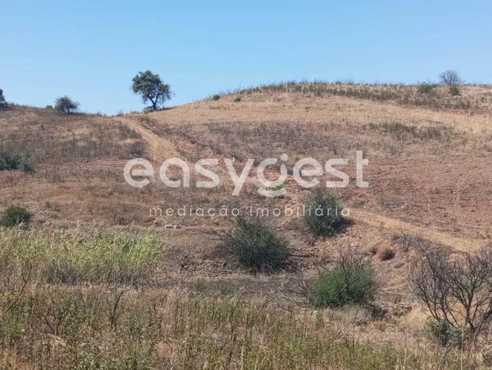 Terreno Agricola ou Rústico para Venda em Conceição e Cabanas de Tavira Foto 20