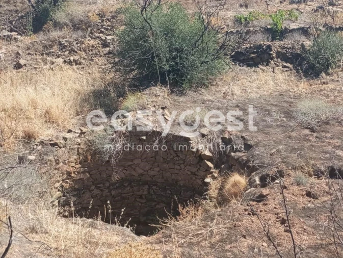 Terreno Agricola ou Rústico para Venda em Conceição e Cabanas de Tavira Foto 4