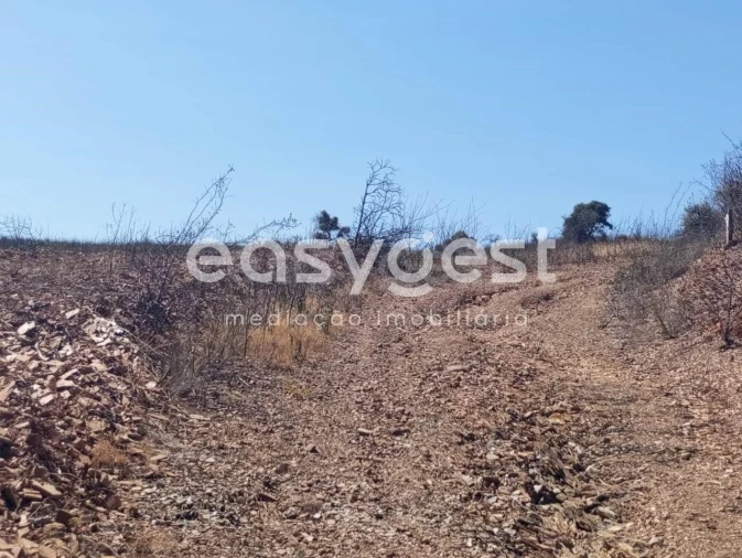 Terreno Agricola ou Rústico para Venda em Conceição e Cabanas de Tavira Foto 5