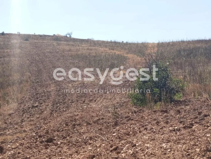 Terreno Agricola ou Rústico para Venda em Conceição e Cabanas de Tavira Foto 9