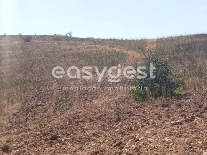 Terreno Agricola ou Rústico para Venda em Conceição e Cabanas de Tavira Foto 10