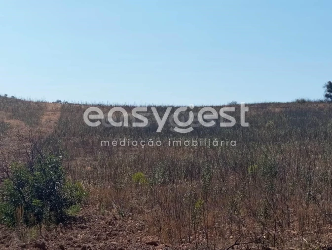 Terreno Agricola ou Rústico para Venda em Conceição e Cabanas de Tavira Foto 13