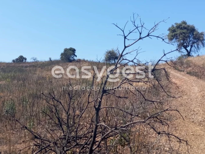 Terreno Agricola ou Rústico para Venda em Conceição e Cabanas de Tavira Foto 14
