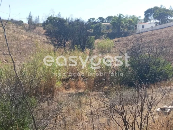 Terreno Agricola ou Rústico para Venda em Conceição e Cabanas de Tavira Foto 16