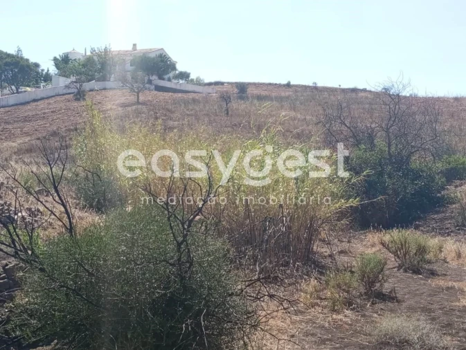 Terreno Agricola ou Rústico para Venda em Conceição e Cabanas de Tavira Foto 17