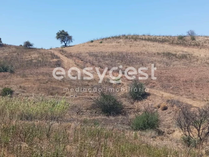 Terreno Agricola ou Rústico para Venda em Conceição e Cabanas de Tavira Foto 20