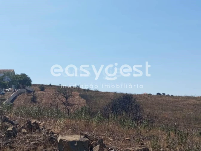 Terreno Agricola ou Rústico para Venda em Conceição e Cabanas de Tavira Foto 21