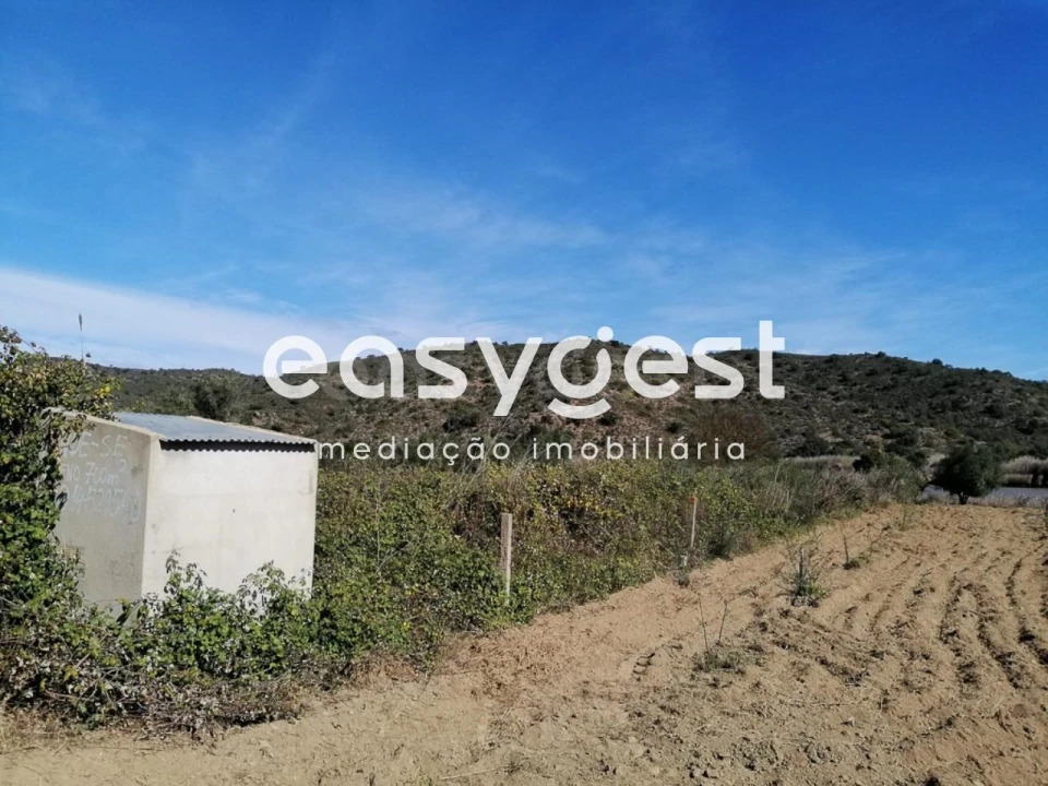 Terreno Agricola ou Rústico para Venda em Alcoutim e Pereiro Foto 1