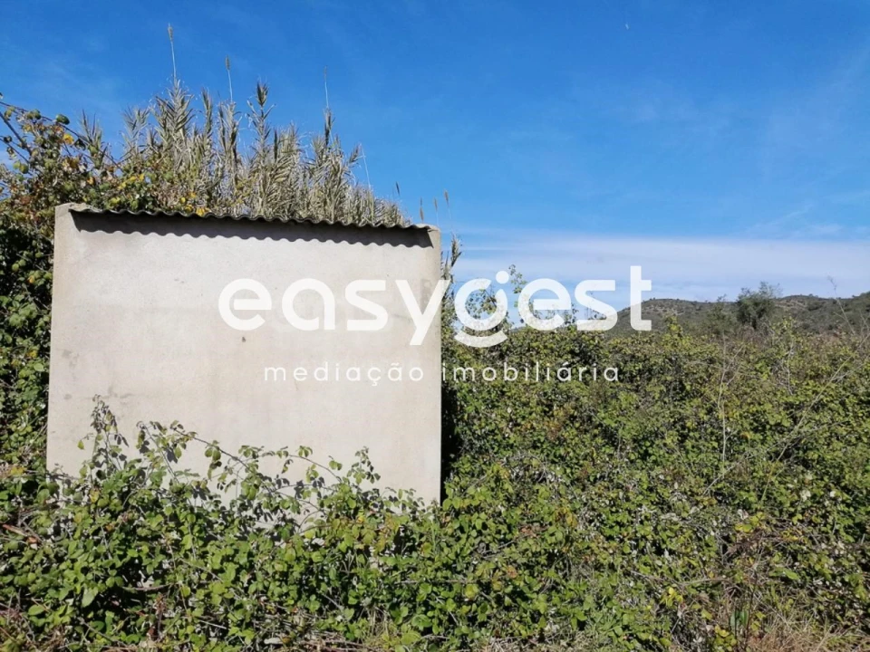 Terreno Agricola ou Rústico para Venda em Alcoutim e Pereiro Foto 6