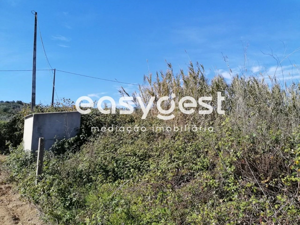 Terreno Agricola ou Rústico para Venda em Alcoutim e Pereiro Foto 7