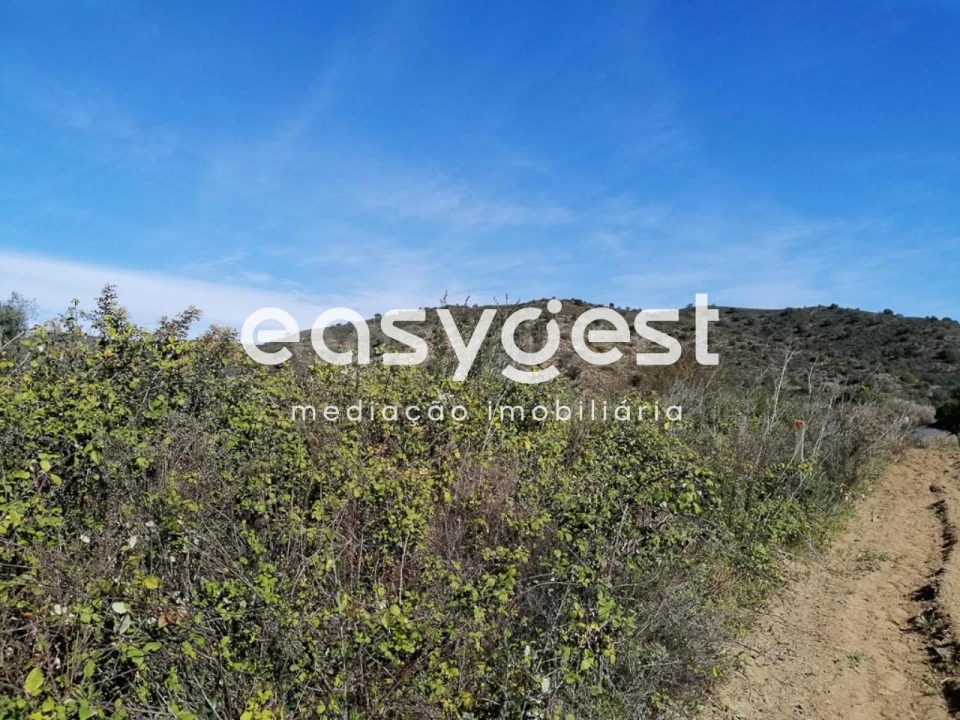 Terreno Agricola ou Rústico para Venda em Alcoutim e Pereiro Foto 8