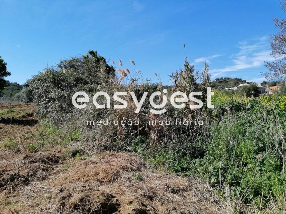 Terreno Agricola ou Rústico para Venda em Alcoutim e Pereiro Foto 9