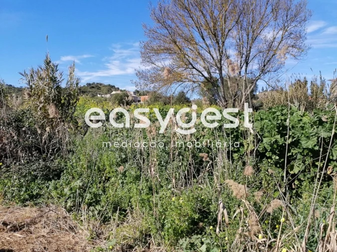 Terreno Agricola ou Rústico para Venda em Alcoutim e Pereiro Foto 10