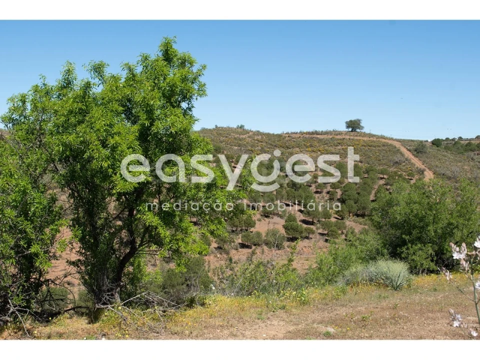 Terreno para Venda em Azinhal Foto 5