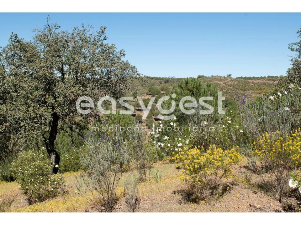 Terreno para Venda em Azinhal Foto 9