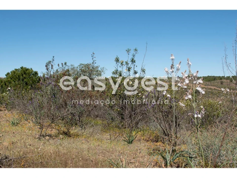 Terreno para Venda em Azinhal Foto 10