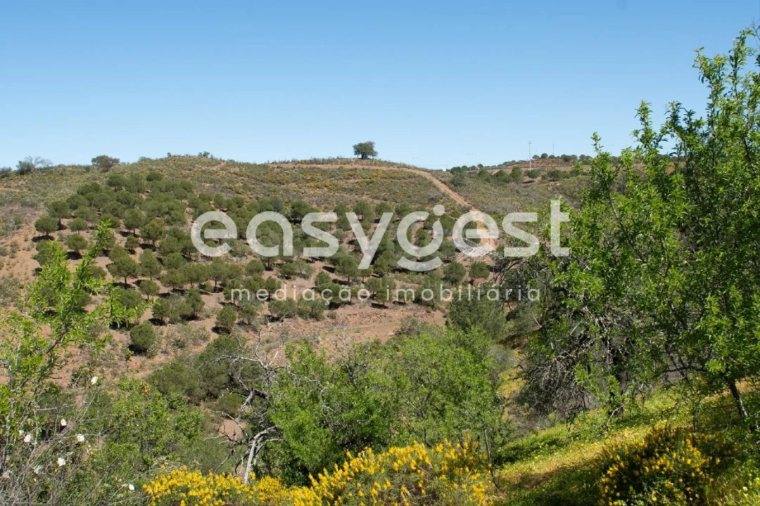 Terreno para Venda em Azinhal Foto 12