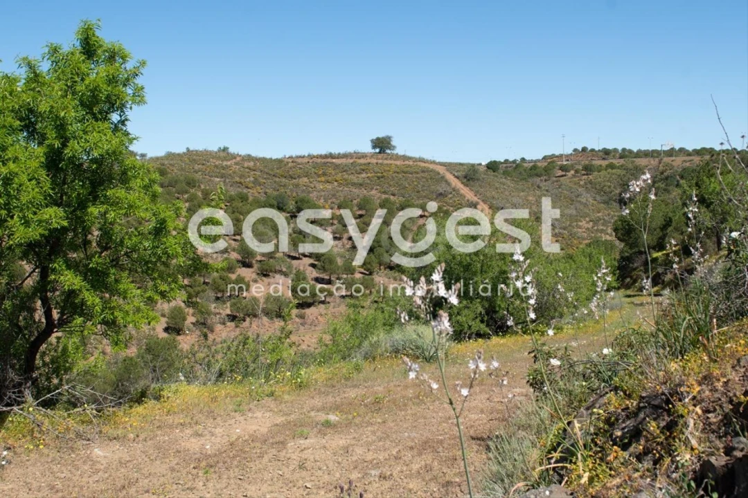 Terreno para Venda em Azinhal Foto 14