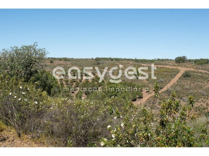 Terreno para Venda em Azinhal Foto 1