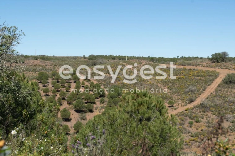 Terreno para Venda em Azinhal Foto 11