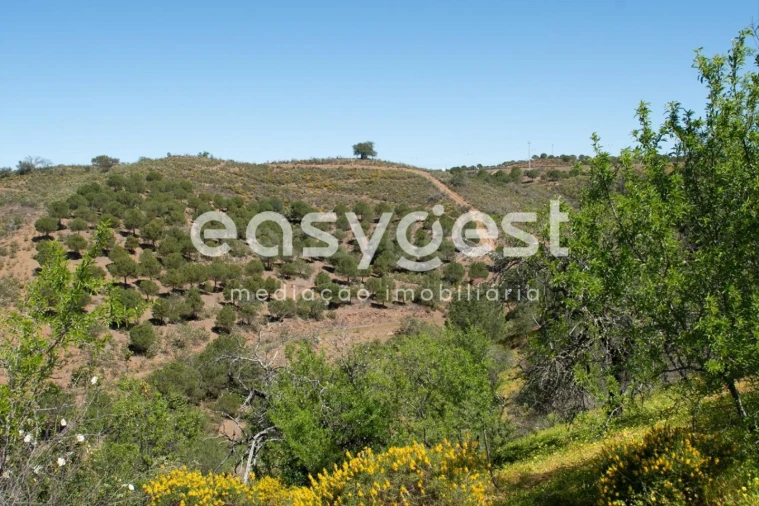 Terreno para Venda em Azinhal Foto 12