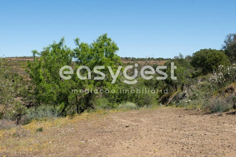 Terreno para Venda em Azinhal Foto 13