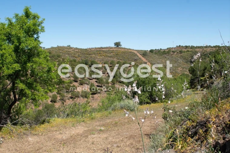 Terreno para Venda em Azinhal Foto 14