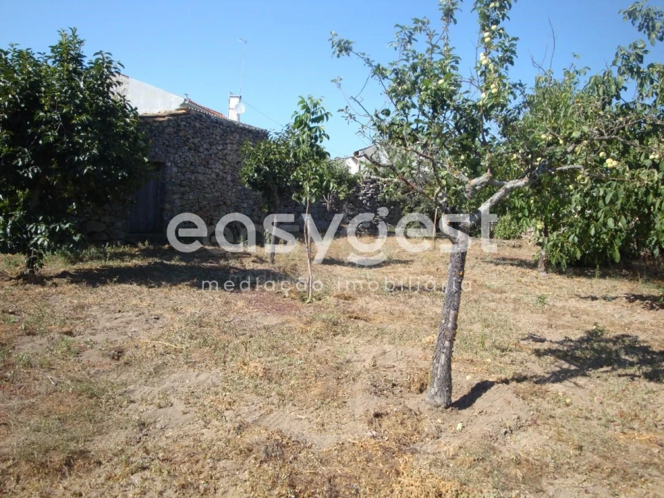 Moradia T4 para Venda em Ruvina, Ruivós e Vale das Éguas Foto 23