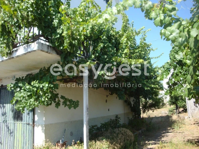 Moradia T4 para Venda em Ruvina, Ruivós e Vale das Éguas Foto 19