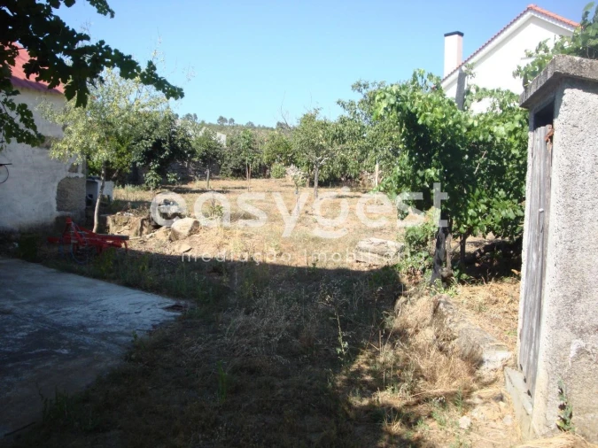 Moradia T4 para Venda em Ruvina, Ruivós e Vale das Éguas Foto 20