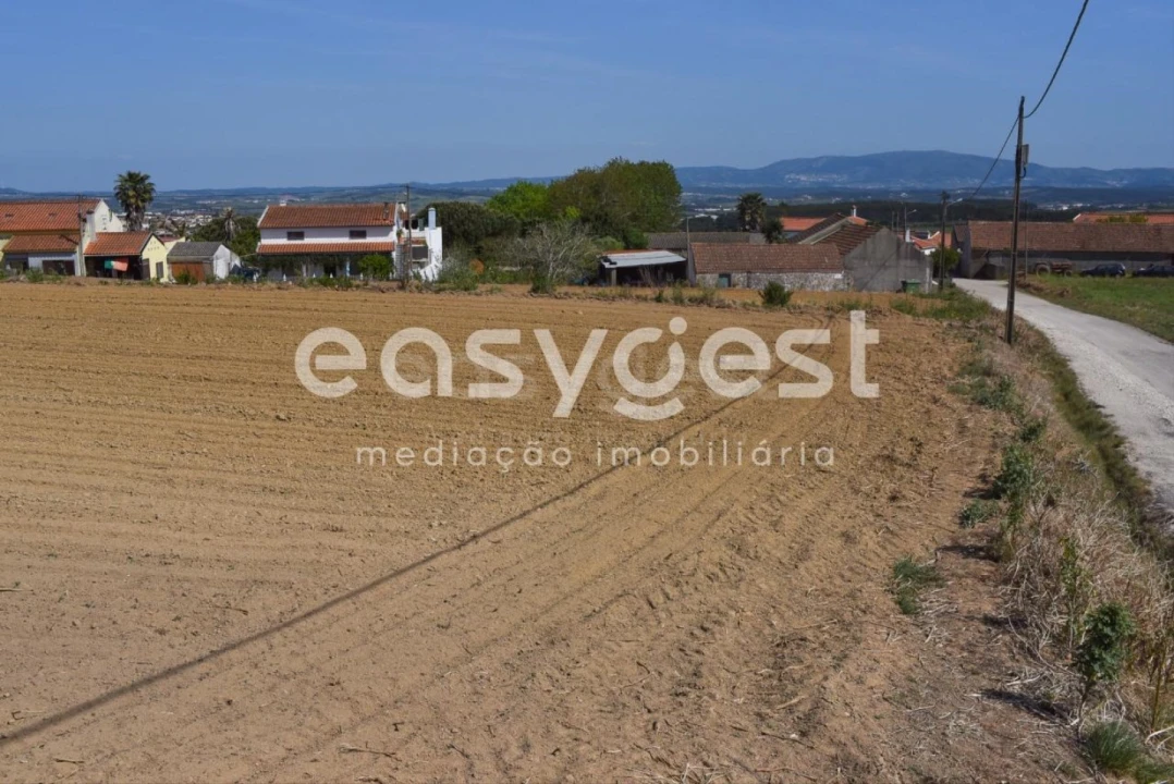 Terreno para Venda em Reguengo Grande Foto 2