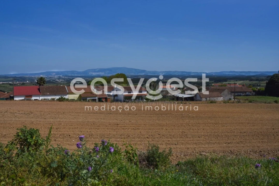 Terreno para Venda em Reguengo Grande Foto 3