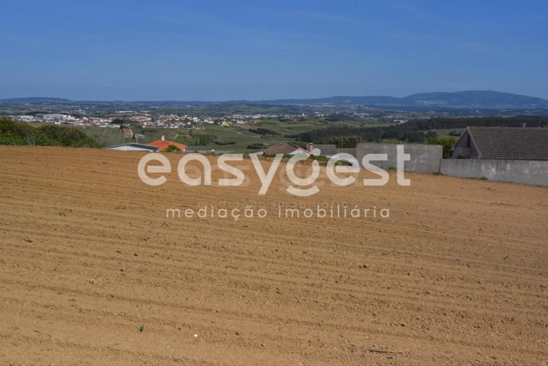 Terreno para Venda em Reguengo Grande Foto 4