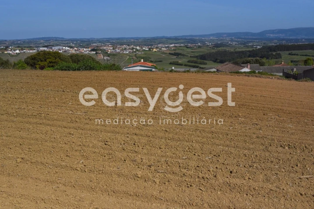 Terreno para Venda em Reguengo Grande Foto 6