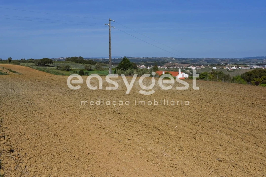 Terreno para Venda em Reguengo Grande Foto 7