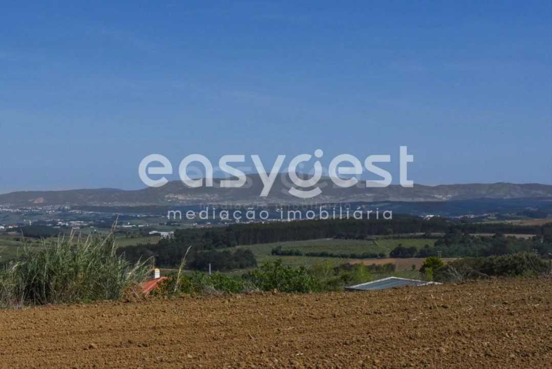 Terreno para Venda em Reguengo Grande Foto 9