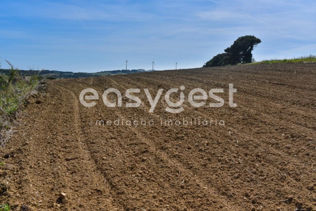 Terreno para Venda em Reguengo Grande Foto 10