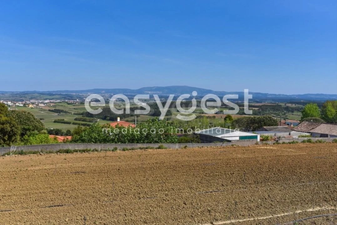 Terreno para Venda em Reguengo Grande Foto 13