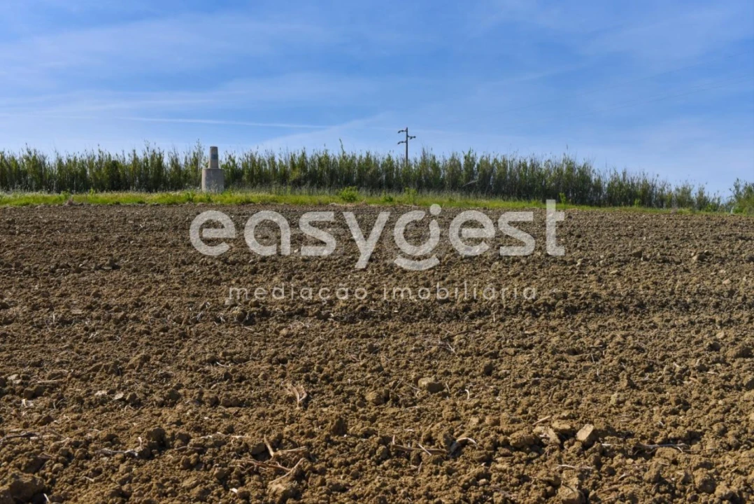 Terreno para Venda em Reguengo Grande Foto 16