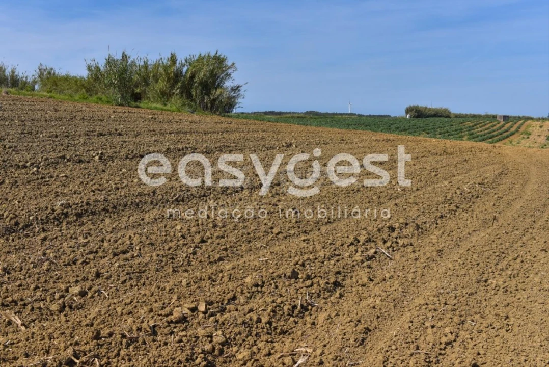 Terreno para Venda em Reguengo Grande Foto 17