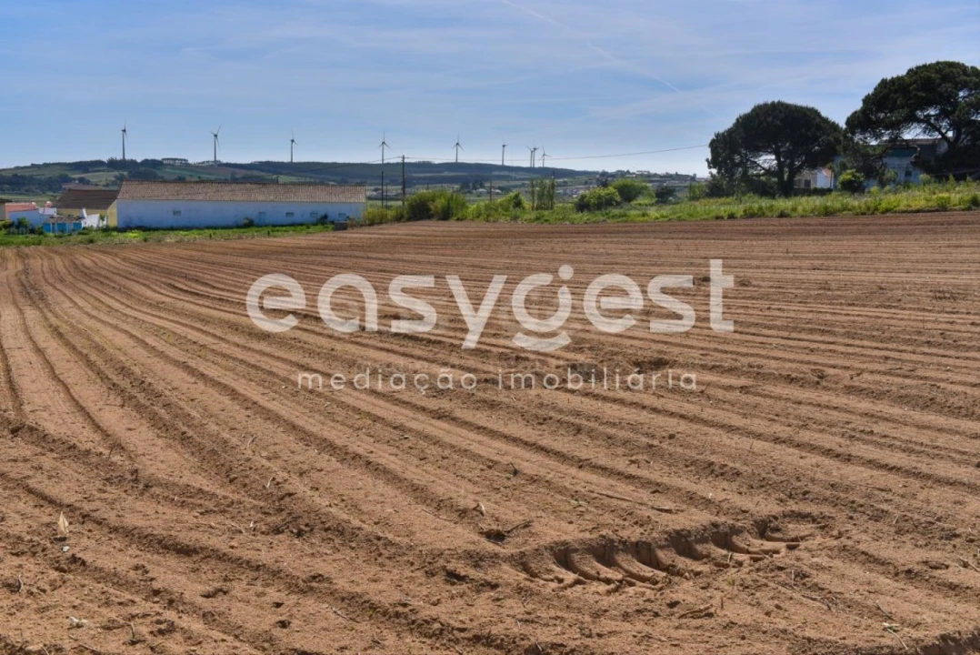 Terreno para Venda em Reguengo Grande Foto 20