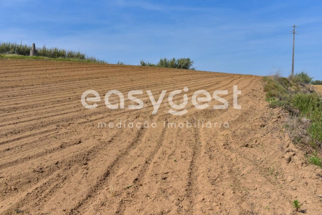 Terreno para Venda em Reguengo Grande Foto 22