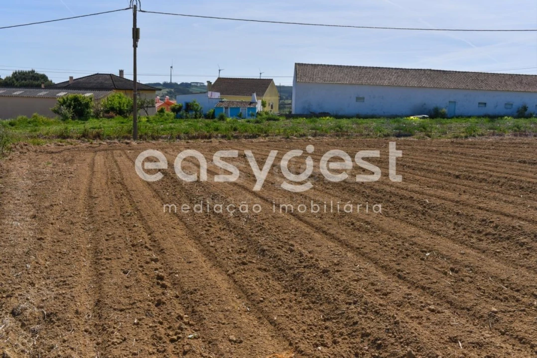 Terreno para Venda em Reguengo Grande Foto 25