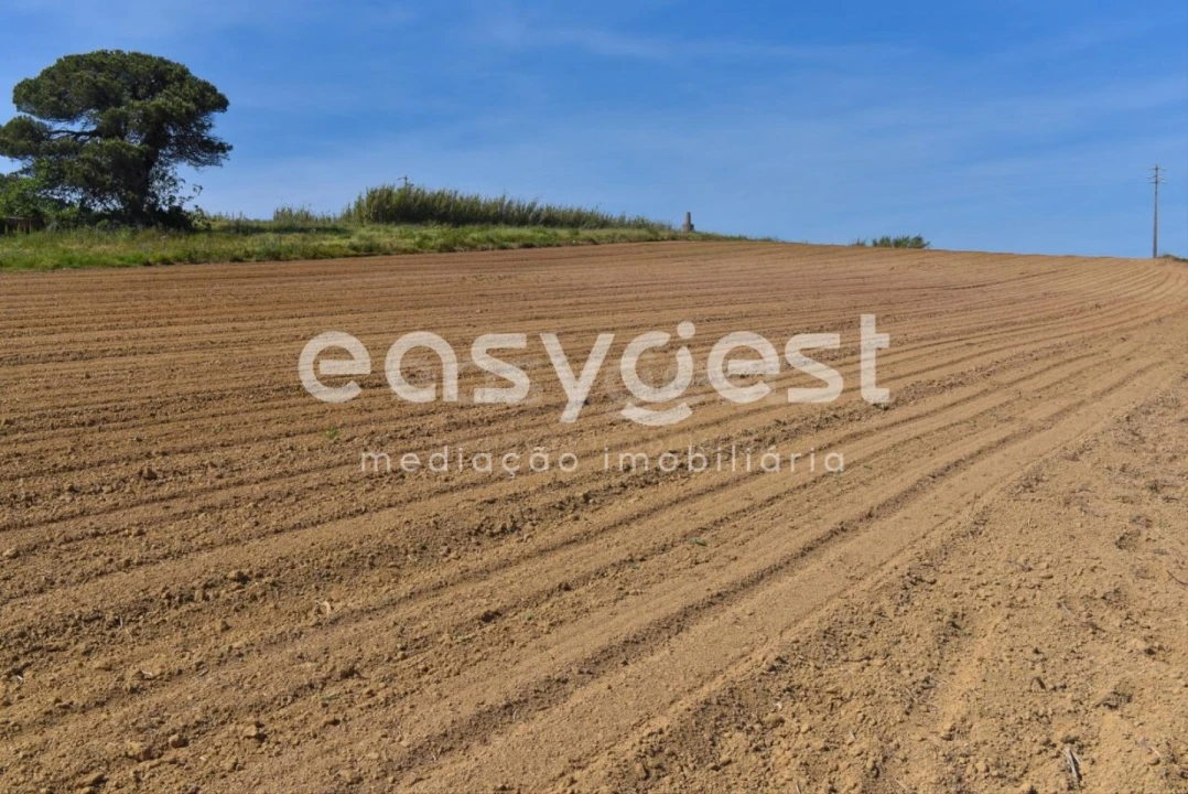 Terreno para Venda em Reguengo Grande Foto 27