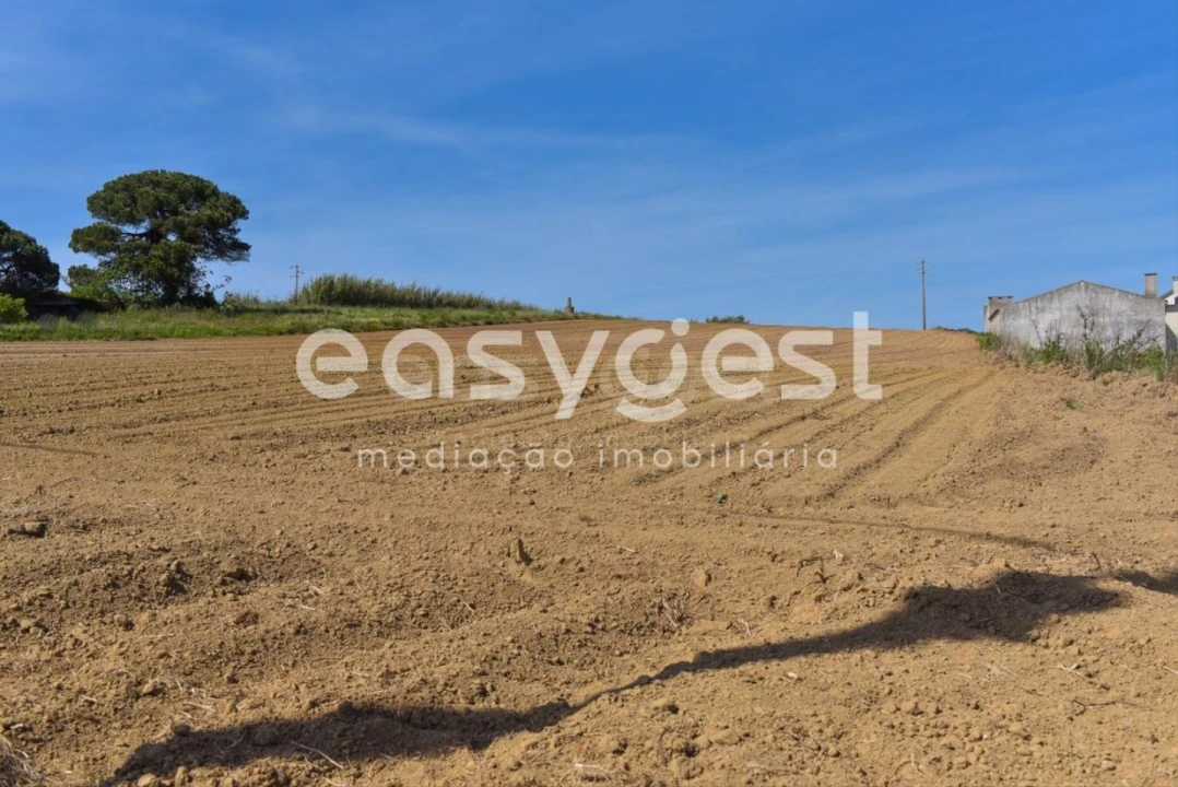 Terreno para Venda em Reguengo Grande Foto 28