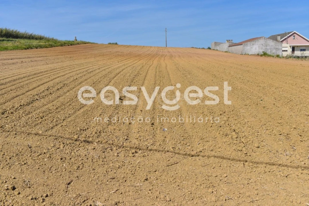 Terreno para Venda em Reguengo Grande Foto 29