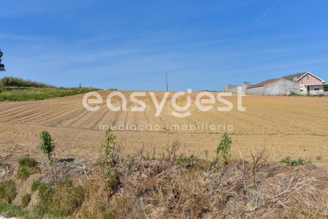 Terreno para Venda em Reguengo Grande Foto 33