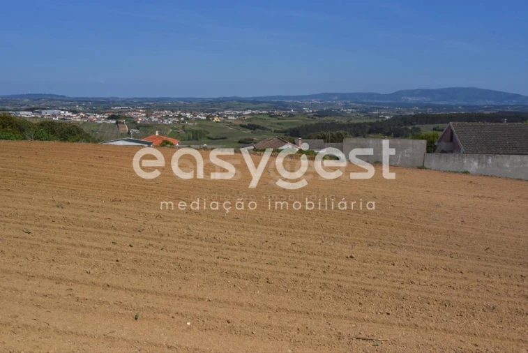 Terreno para Venda em Reguengo Grande Foto 4