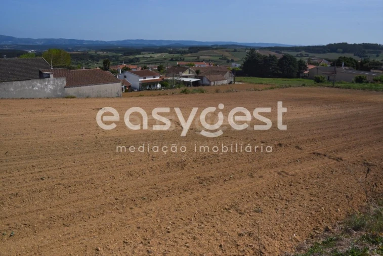 Terreno para Venda em Reguengo Grande Foto 5